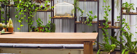 Een tuintafel is essentieel: van een ronde tafel voor een knusse sfeer tot een robuuste eettafel voor diners onder de sterren. Ontdek de perfecte tafel voor jouw tuin in ons blog.