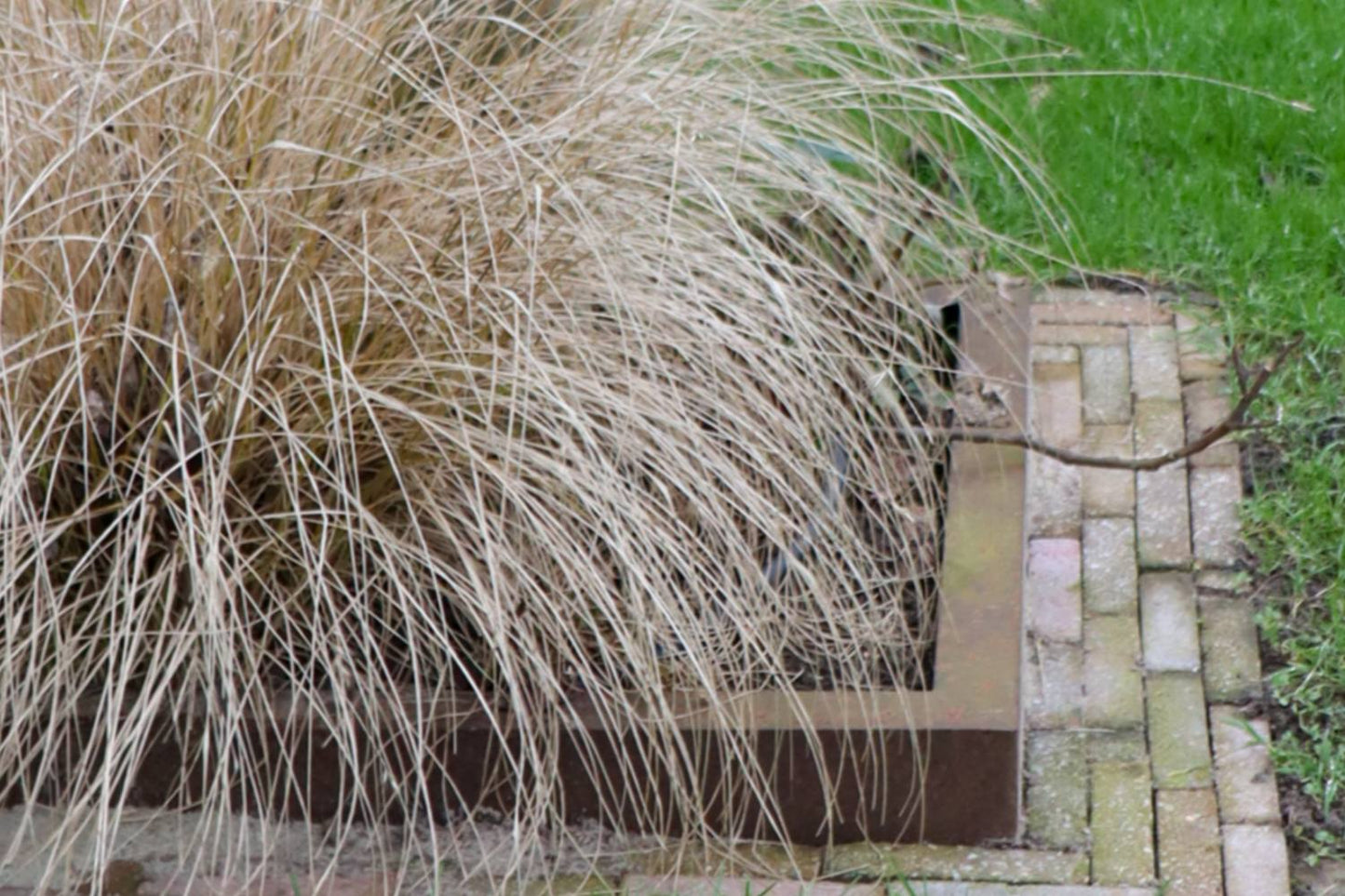 Duurzame kantopsluiting, borderrand van cortenstaal van R&A Buitenleven