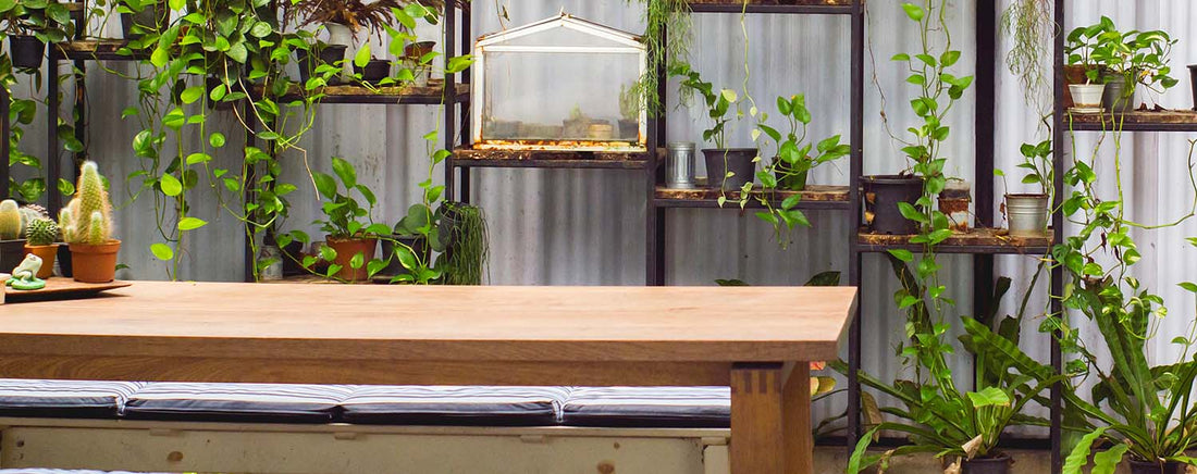 Een tuintafel is essentieel: van een ronde tafel voor een knusse sfeer tot een robuuste eettafel voor diners onder de sterren. Ontdek de perfecte tafel voor jouw tuin in ons blog.