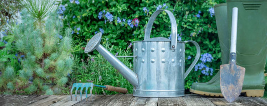 Een kweek- of oppottafel is ideaal voor tuinliefhebbers: stijlvol, praktisch en comfortabel. Perfect voor zaaien, planten en oogsten zonder te bukken, in diverse materialen en stijlen.